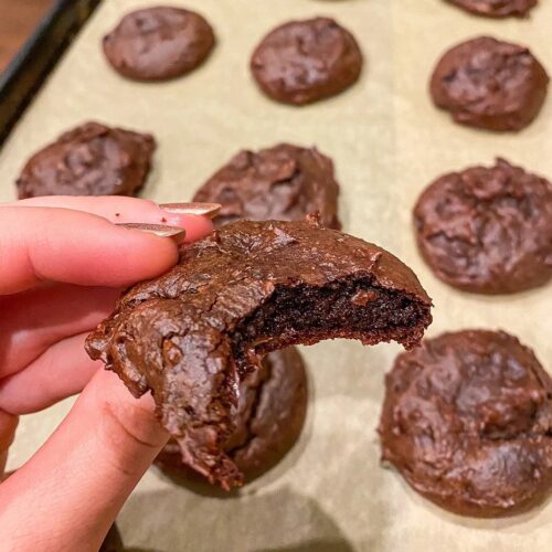 Chocolate peanut butter cookies